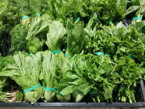 上周云南省生活必需品零售價格觀察 6漲1平5跌，新鮮蔬菜價格回落